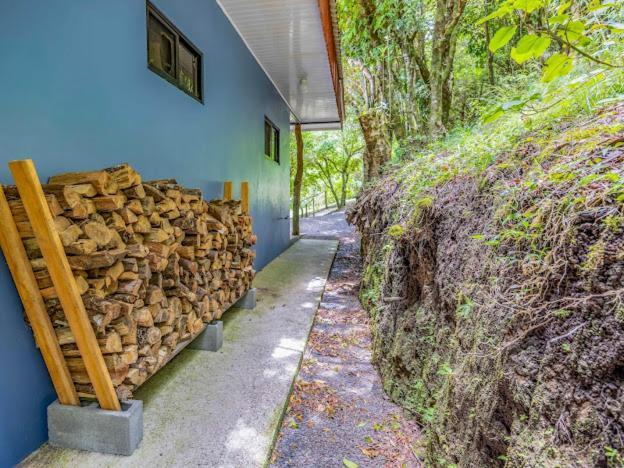 Ferienwohnung Cantos Del Bosque Monteverde Exterior foto